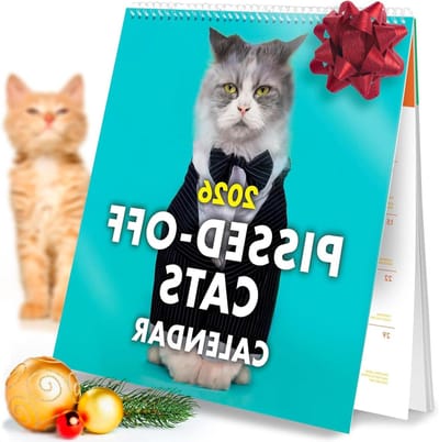 Grappige Katten Kalender - Muurplanner - Dagelijkse Planning - 150 Grappige Gelegenheden - 24 x 23.5 cm