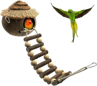 Hangend vogelhuisje met ladder - Vogelnest van natuurlijke kokosvezels - Vogelschommel - Accessoires voor papegaaienkooien - Geschikt voor parkieten, vinken, papegaaien en kanaries