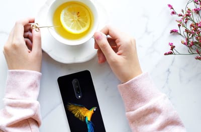 OnePlus 7 Pro TPU Hoesje Papegaai