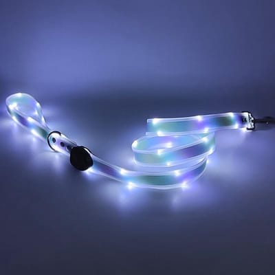 Hondenriem - Hondenriem met 3 Verlichtingsstanden - Oplichtende Hondenriemen - Oplaadbare - 1,2 Meter Lange Verlichte Hondenriem voor Nachtelijke Wandelingen - Kleine - Middelgrote en Grote Honden Die 's Nachts Wandelen - Paarsgroen