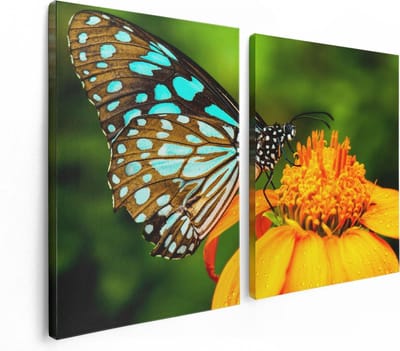 Artaza Canvas Schilderij Tweeluik Blauwe Vlinder Bij Een Oranje Bloem - 120x80 - Foto Op Canvas - Canvas Print