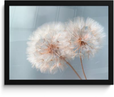 Poster in lijst - Fotolijst 40x30 cm - Posters - Paardenbloemen - Pluisjes - Wit - Posterlijst zwart - Decoratie - Wanddecoratie woonkamer - Muurdecoratie slaapkamer