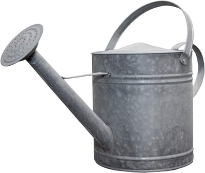 XL gieter van zink - zilvergrijs - handgemaakt - decoratief bloembak - 8,75 liter