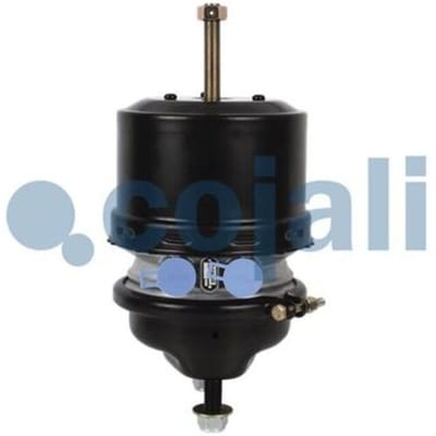 Combiremcilinder COJALI 2251510