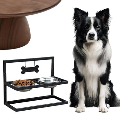 Hondenvoer standaard - Verhoogde voerbak - Comfortabel eten - In hoogte verstelbaar - 44 x 22 x 6 cm - Zwart