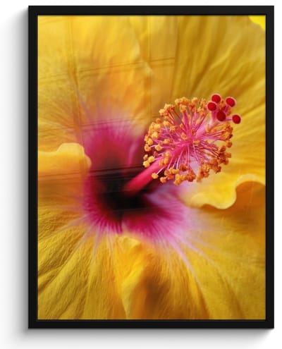 Poster in lijst - Fotolijst 50x70 cm - Posters - Geel - Hibiscus - Tropisch - Posterlijst zwart - Decoratie - Wanddecoratie woonkamer - Muurdecoratie slaapkamer