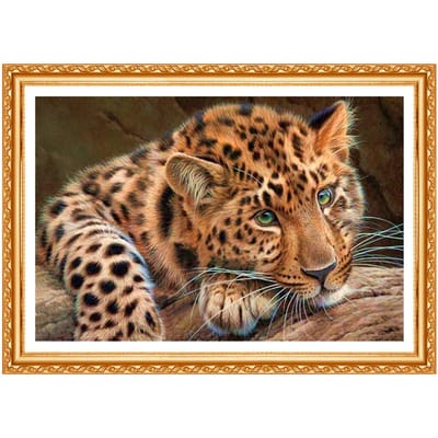 Volledige ronde diamant schilderij kruissteek diamant dier foto strass decor 20X30CM