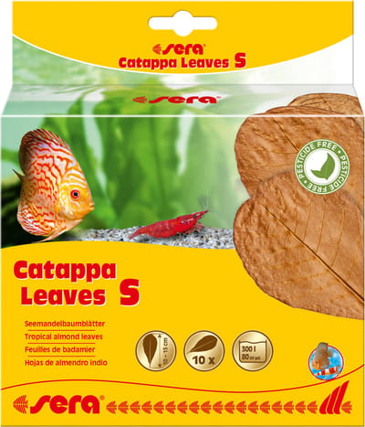 Sera Catappa Leaves 10 stuks 10-15CM