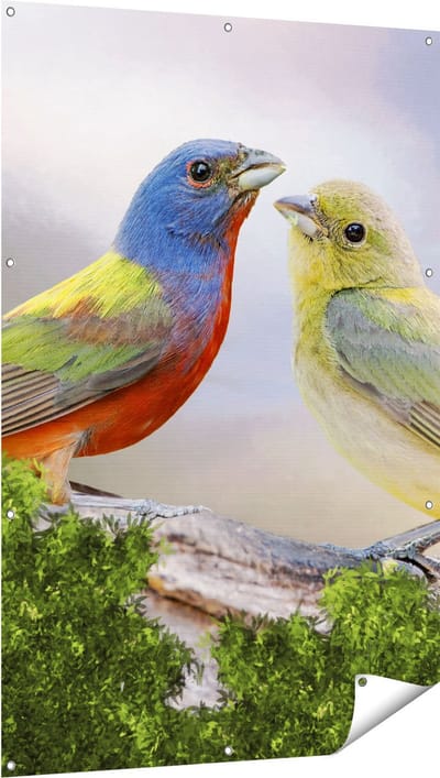Gards Tuinposter Getekende Gorzen Vogels - Kleur - Abstract - 100x150 cm - Tuindoek - Tuindecoratie - Wanddecoratie buiten - Tuinschilderij