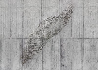 Fotobehang Concrete Feather - Grijs - 2,50m X 350cm