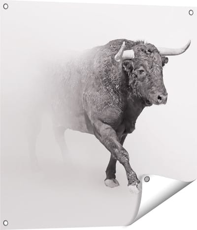 Gards Tuinposter Stier op een Grijze Achtergrond - Zwart Wit - 70x70 cm - Tuindoek - Tuindecoratie - Wanddecoratie buiten - Tuinschilderij