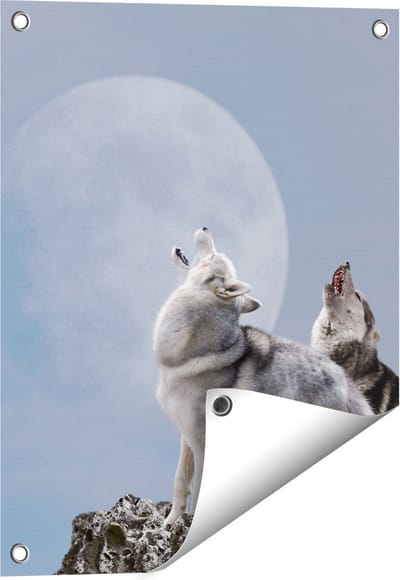 Gards Tuinposter Twee Wolven Die Huilen tijdens Volle Maan - 40x50 cm - Tuindoek - Tuindecoratie - Wanddecoratie buiten - Tuinschilderij