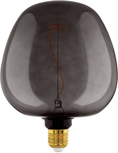EGLO LED Lamp - E27 - Ø 19 cm - G190 - Zwart - 2000K - Dimbaar