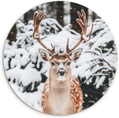 WallCircle® Wandcirkel 90x90 cm - Muurcirkel Hert - Sneeuw - Winter - Bos - Dieren - Muurdecoratie woonkamer - Wanddecoratie slaapkamer - Kamer decoratie accessoires - Ronde schilderijen