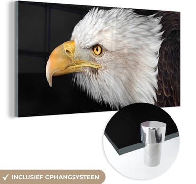 MuchoWow® Glasschilderij 40x20 cm - Schilderij acrylglas - Adelaar - Vogel - Snavel - Ogen - Foto op glas - Schilderijen