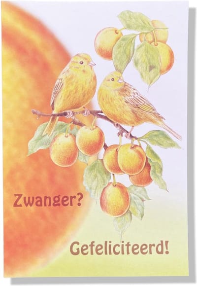 Zwanger! - Luxe In Verwachting wenskaart - 12x17cm - Gevouwen wenskaart met envelop