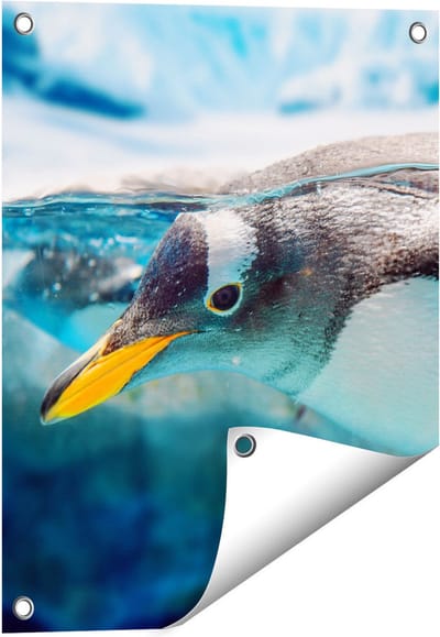 Gards Tuinposter Pingu�n Zwemt onder Water - 40x50 cm - Tuindoek - Tuindecoratie - Wanddecoratie buiten - Tuinschilderij