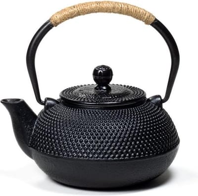 Japanse Stijl Tetsubin 0,6 liter gietijzeren Theepot