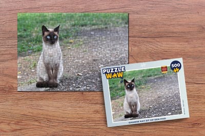 Puzzel Siamese kat zit op een pad - Legpuzzel - Puzzel 500 stukjes