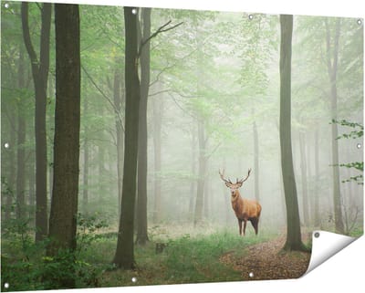 Gards Tuinposter Hert in Bos - 150x100 cm - Tuindoek - Tuindecoratie - Wanddecoratie buiten - Tuinschilderij