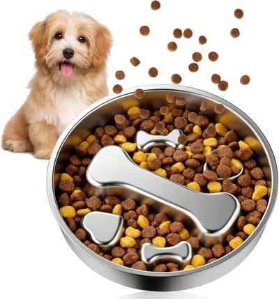 Anti-schrokbak voor honden, 22 cm, anti-schrokbak, hond, 304 roestvrij staal, hondenbak, slow feeder, anti-schrokbak, kat, voor katten