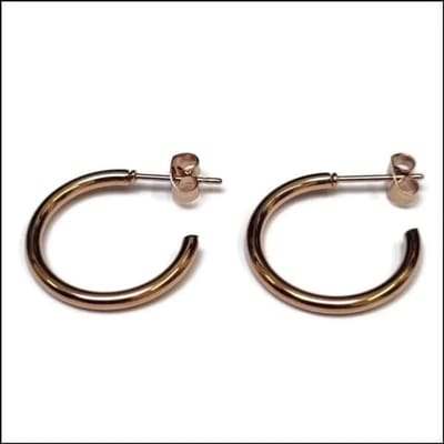 Aramat Jewels | Oorbellen | RVS Hoepel Oorstekers| Rosékleurig / 20mm | |2mm | Staal | Volwassenen | Verkleurd niet