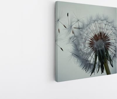 Saammp Canvas Schilderij - Dandelion met zaadjes in de wind - Natuur - Bloemen - 20x20 - Foto op canvas - Wanddecoratie - Muurdecoratie Woonkamer - Kantoor Decoratie