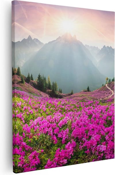 Artaza Canvas Schilderij Bloemenveld - 40x50 cm - Wanddecoratie Bergen - Schilderijen Op Canvas Natuur - Decoratie Zonsondergang