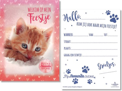 12 Uitnodigingskaartjes met envelop - Kitten - My Favourite Friends - 10 x 13.5 cm