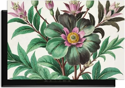 KitchenArt - Botanical Grace – Inductie Beschermer - 90x50 cm - Kookplaat Beschermer - Luxe Afdekplaat Inductieplaat - Anti-slip & Oprolbaar - Beschermmat Inductiekookplaat