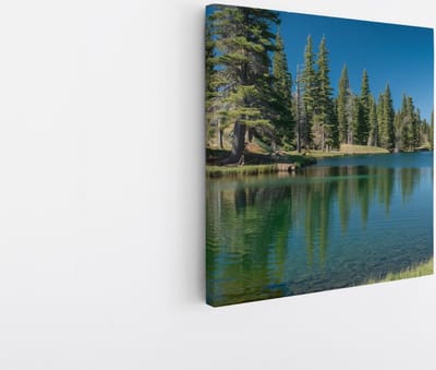 Saammp Canvas Schilderij - Meer tussen de bomen - Landschap - Natuur - 20x20 - Foto op canvas - Wanddecoratie - Muurdecoratie Woonkamer - Slaapkamer decoratie - Canvas Print