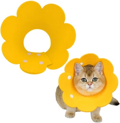Dailygoods- Kattenhalsband Anti-likken - Anti-kras - Anti-bijthalsband - Halsband voor huisdieren - Verstelbaar - Geschikt voor katten/puppy's