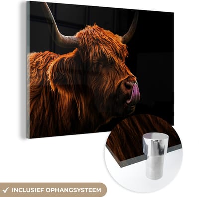 MuchoWow® Glasschilderij 120x80 cm - Schilderij acrylglas - Schotse Hooglander - Tong - Neus - Foto op glas - Schilderijen