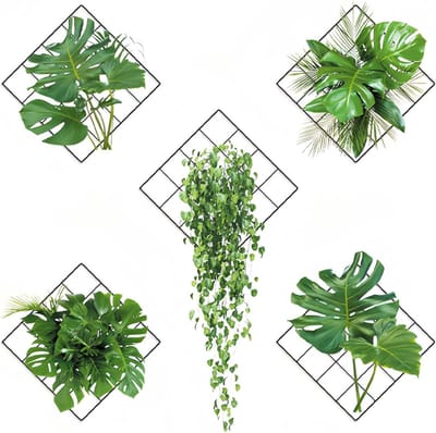 3D Wandtattoo Planten - Zelfklevende Wandstickers voor Woonkamer, Slaapkamer en Keuken - 6 Ontwerpen voor een Groene Decoratie