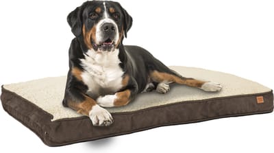 ib style Happy Dreams Hondenbed - Hondenmand - Hondenkussens - 120x78 cm - Bruin