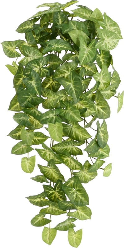 Syngonium Arrow Kunst Hangplant 60cm