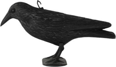 Kraai 36cm - Zwart