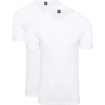 Alan Red West-Virginia T-shirt V-Hals Wit (2Pack) - Maat XXL - Heren - T-shirt basis