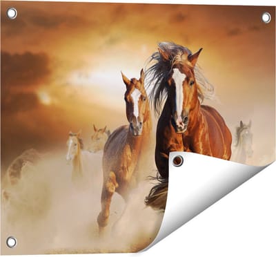 Gards Tuinposter Wilde Paarden in het Zand - 50x40 cm - Tuindoek - Tuindecoratie - Wanddecoratie buiten - Tuinschilderij