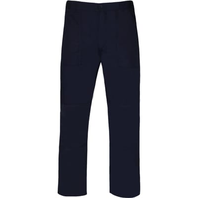 Regatta Heren Nieuwe Actiebroek (Regular) / Broek (Marineblauw)
