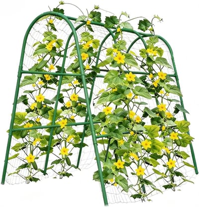 Danky U-Vormig Klimrek | Metalen Plantensteun voor Klimplanten | Stevige Tuinondersteuning voor Buiten | 120*120cm