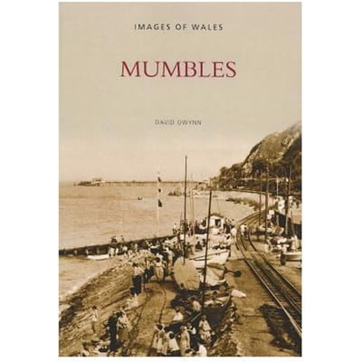 Mumbles - David Gwynn