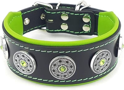 Handgemaakte leren hondenkraag met studs - 2 inch breed - Voor Franse Bulldog, Terriër, Duitse Herders