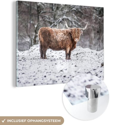 MuchoWow® Glasschilderij 160x120 cm - Schilderij acrylglas - Schotse Hooglander - Boom - Sneeuw - Foto op glas - Schilderijen