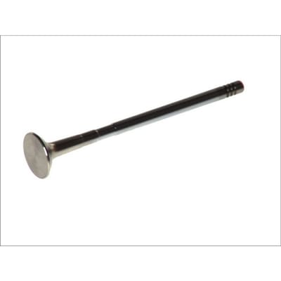 Uitlaatklep FRECCIA R6305/BMCR