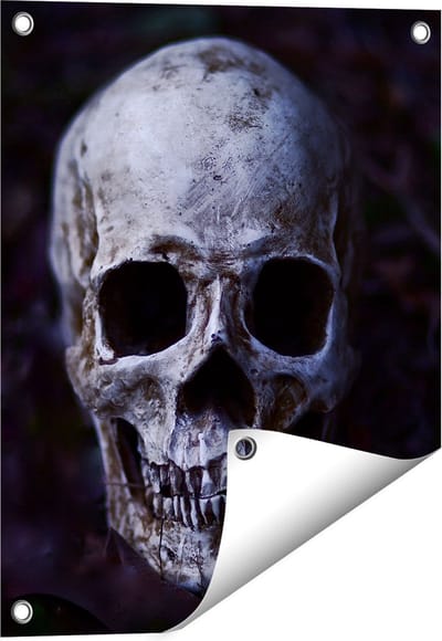 Gards Tuinposter Schedel - Doodshoofd - 40x50 cm - Tuindoek - Tuindecoratie - Wanddecoratie buiten - Tuinschilderij