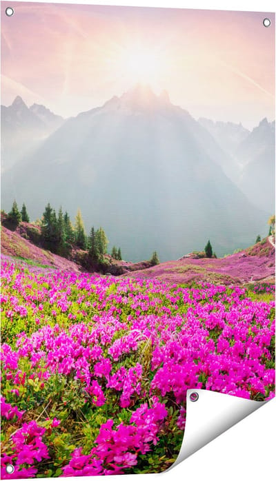 Gards Tuinposter Rhododendron Bloemenveld in de Alpen - 60x90 cm - Tuindoek - Tuindecoratie - Wanddecoratie buiten - Tuinschilderij