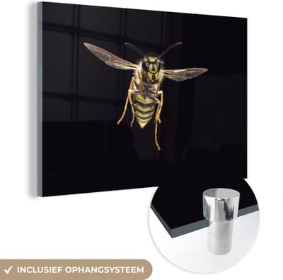 MuchoWow® Glasschilderij 120x80 cm - Schilderij acrylglas - Wesp - Insecten - Portret - Foto op glas - Schilderijen