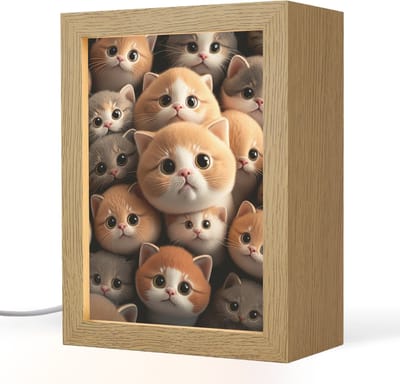 Nachtlampje 15x20 cm - Kinder lampje - Katten - Huisdieren - Kitten - Design - Jongens - Meisjes - Tafellamp kinderkamer - Slaapkamer lamp - Bedlamp kinderen - Kinderlampje stopcontact - Wandlamp babykamer - Nachtlampjes