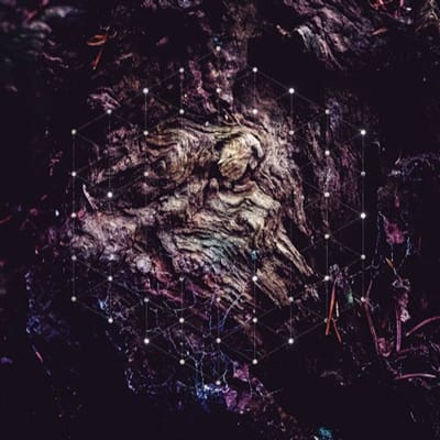 Psychonaut - Unfold The God Man (CD)